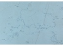Bianco Perlino